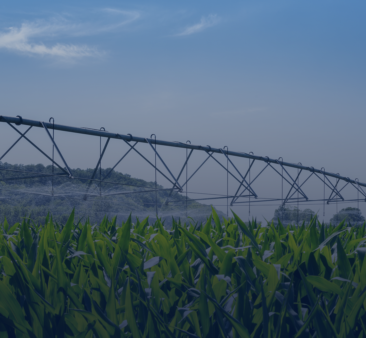 Interim management Agroalimentare