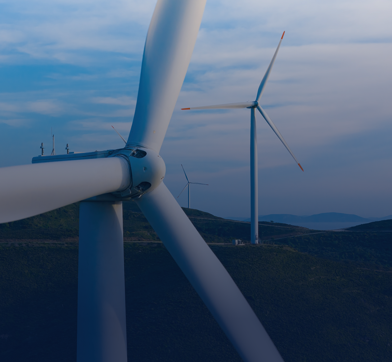 Interim management Energia e Ambiente